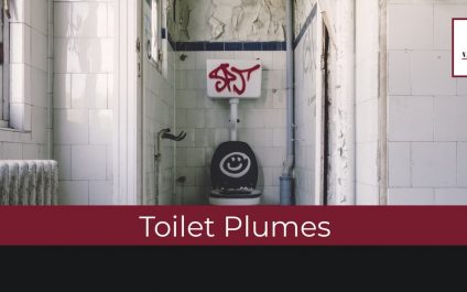 Toilet Plumes