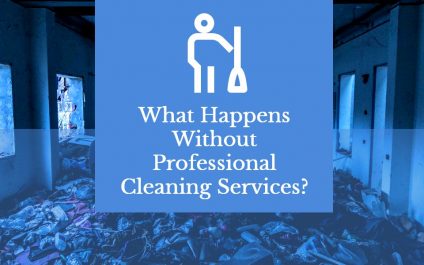 What Happens Without Professional Cleaning Services?