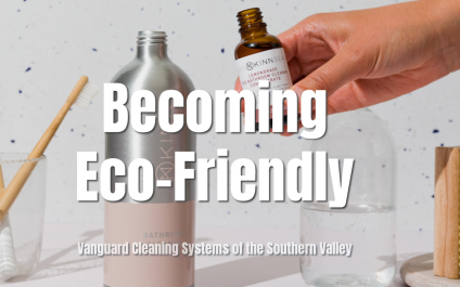 Becoming Eco-Friendly