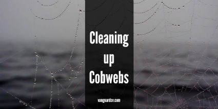Cleaning Services – Cleaning up Cobwebs