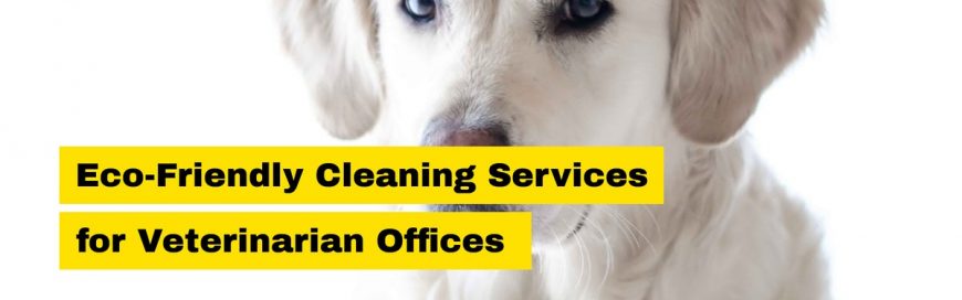 Eco-Friendly Cleaning Services for Veterinarian Offices