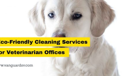 Eco-Friendly Cleaning Services for Veterinarian Offices