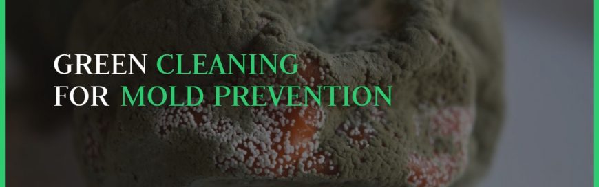 Green Cleaning for Mold Prevention