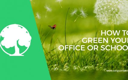 How to Green Your Office or Classroom