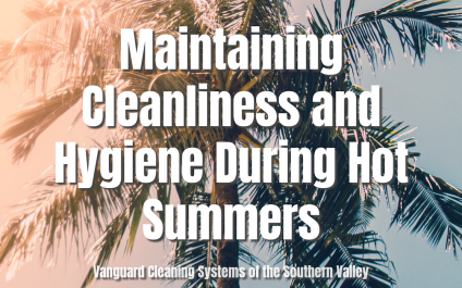 Maintaining Cleanliness and Hygiene During Hot Summers