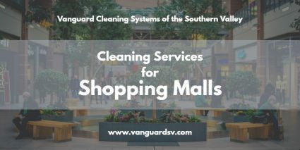 Mall Cleaning Services and Maintenance