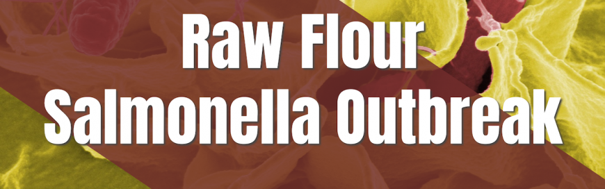 Raw Flour Salmonella Outbreak