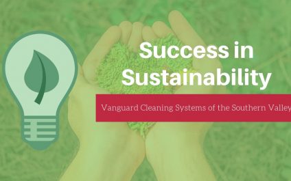 Success in Sustainability