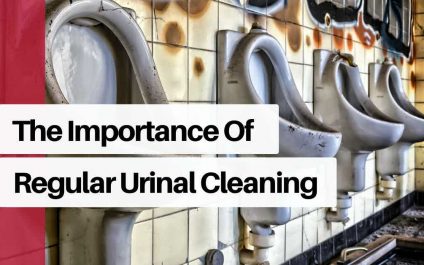The Importance of Regular Urinal Cleaning