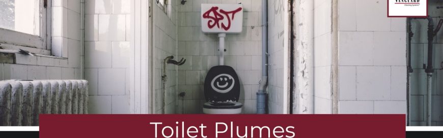 Toilet Plumes