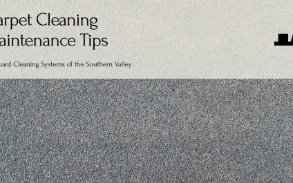 Carpet Cleaning Maintenance Tips