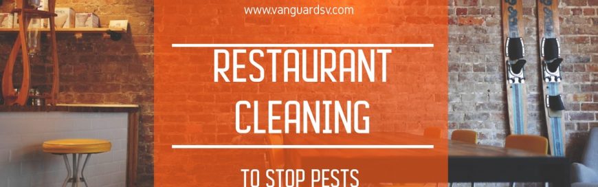 Restaurant Cleaning to Stop Pests