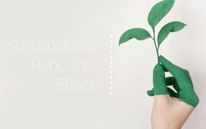 Sustainability Rebound Effect