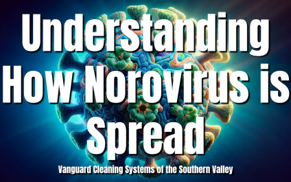 Understanding How Norovirus is Spread