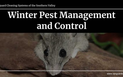 Winter Pest Management and Control