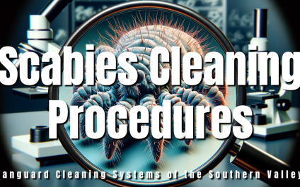 Scabies Cleaning Procedures