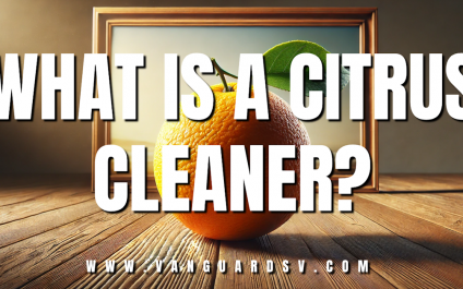 What is a Citrus Cleaner? [VIDEO]