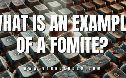 What is an Example of a Fomite? [VIDEO]