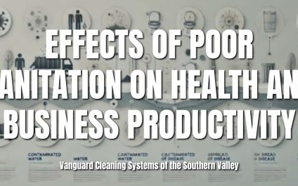 Effects of Poor Sanitation on Health and Business Productivity