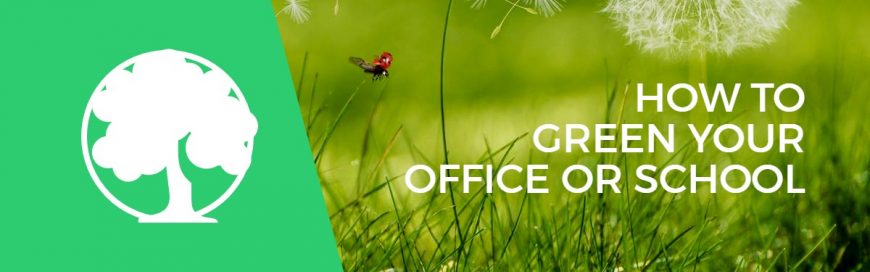 How to Green Your Office or Classroom