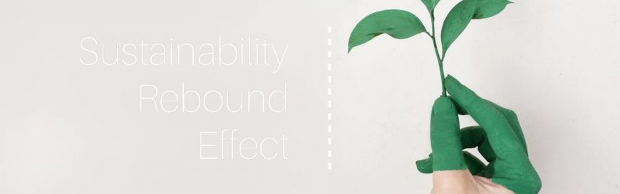 Sustainability Rebound Effect