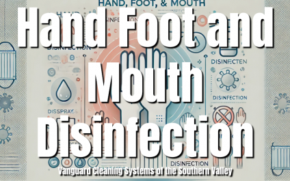 Hand Foot and Mouth Disinfection [VIDEO]