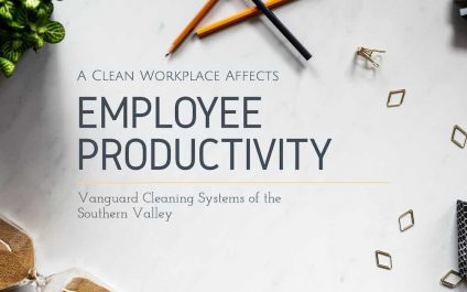 A Clean Workplace Affects Employee Productivity