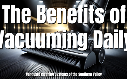 Benefits of Vacuuming Daily