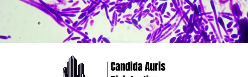 Candida Auris sanitization