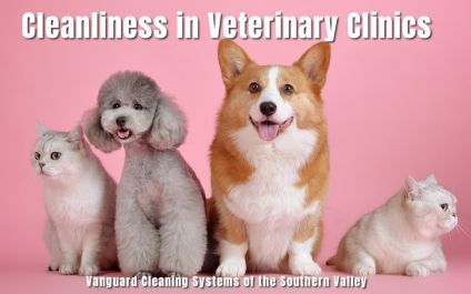 Cleanliness in Veterinary Clinics