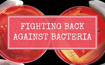 Fighting Back Against Bacteria