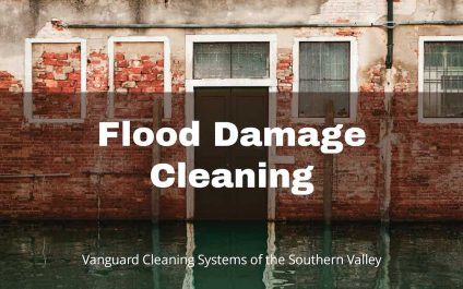 Flood Damage Cleaning
