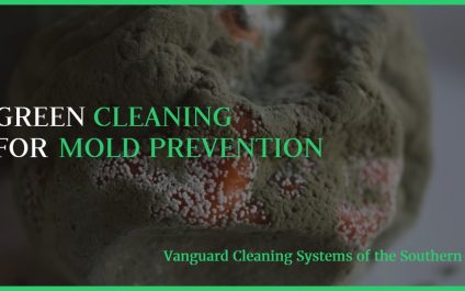 Green Cleaning for Mold Prevention