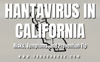 Hantavirus in California: Risks, Symptoms, and Prevention Tips