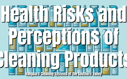 Health Risks and Perceptions of Cleaning Products