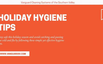 Holiday Hygiene Tips