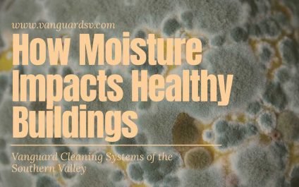How Moisture Impacts Healthy Buildings