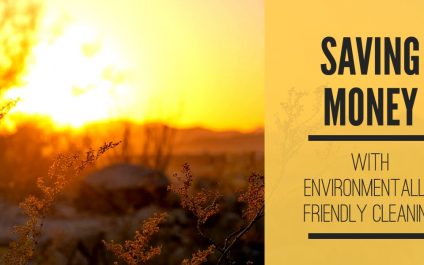 Saving Money With Environmentally Friendly Cleaning