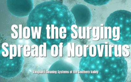 Slow the Surging Spread of Norovirus