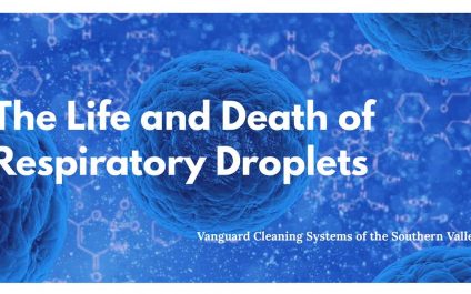 The Life and Death of Respiratory Droplets