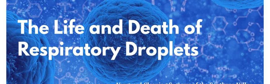 The Life and Death of Respiratory Droplets