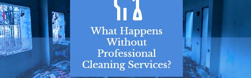 What Happens Without Professional Cleaning Services?