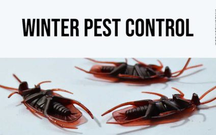 Winter Pest Control