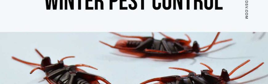 Winter Pest Control