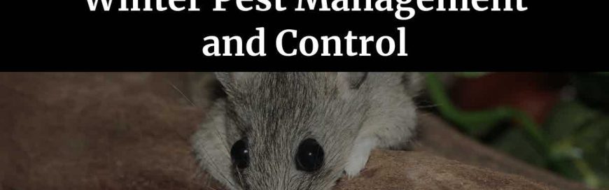 Winter Pest Management and Control