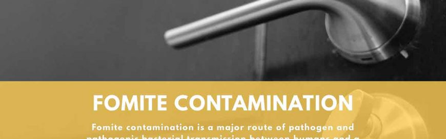 Fomite Contamination