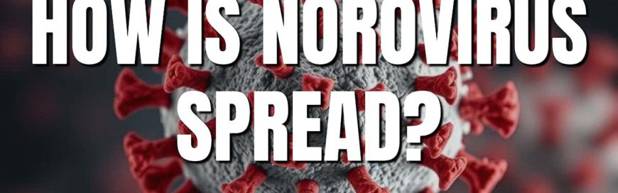 How is Norovirus Spread?