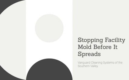Stopping Facility Mold Before It Spreads