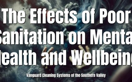 The Effects of Poor Sanitation on Mental Health and Wellbeing