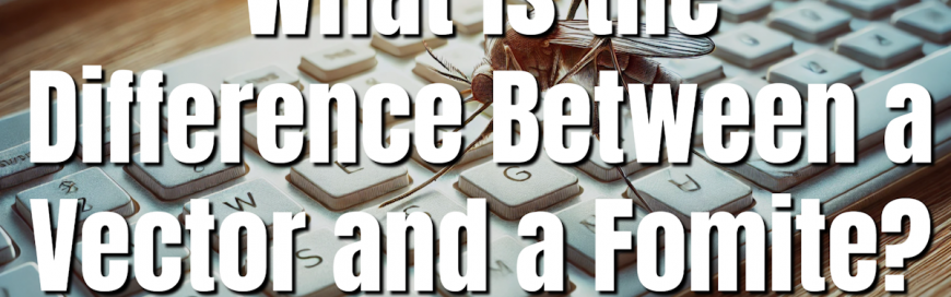 What is the Difference Between a Vector and a Fomite?
